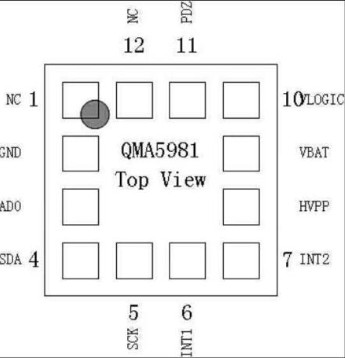 3???????QMA5981???