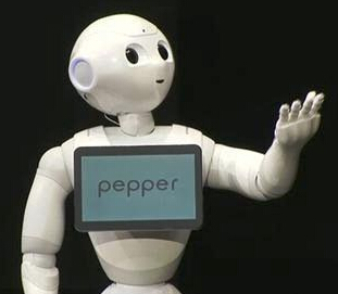 ?????????????λ?????Pepper???????