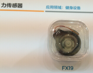 ??????????FX19