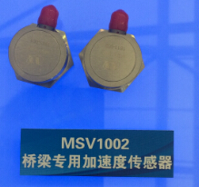 ??????ü???????????MSV1002