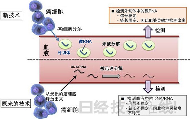 ?RNA?????