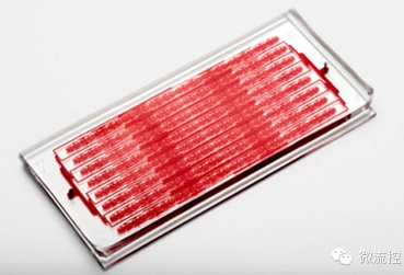 ????????????Cluster-Chip???4000??????в????????????????????е????????????
