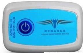 ????????β???????Pegasus???????