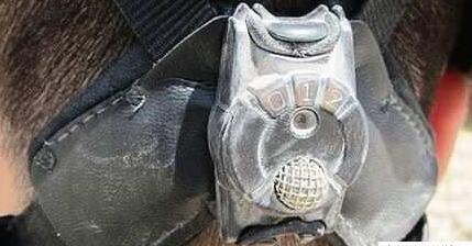 ??е?????????????DARPA???????????????????????????????????????????????????