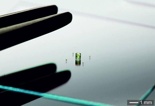 ????600µm??????????ΧΧ???????????120µm??????