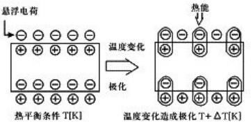 ?????Ч??γ????