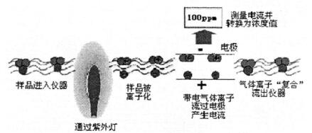 PID???崫???????????