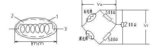 ?????????????????1-???????2-???壻3-Pt?????????????????????????·