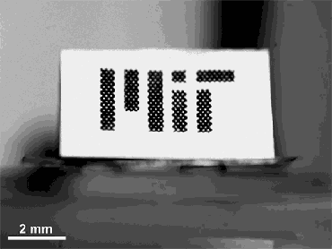 ??????????????????????????????????????????????????????ξ???????????????????????б?????