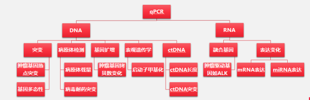 qPCR?????
