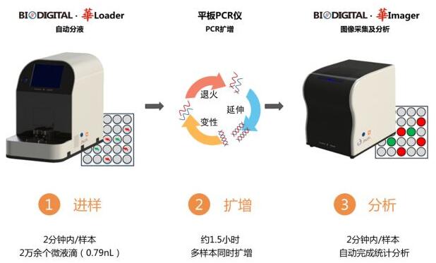 С?????????о?????PCR BioDigital???A???????