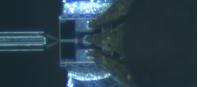 56GHz??????Ge/Si APD