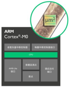 ARM Cortex-M0??????