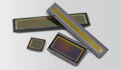 ???CMOS??????????1????Gpixel NV????
