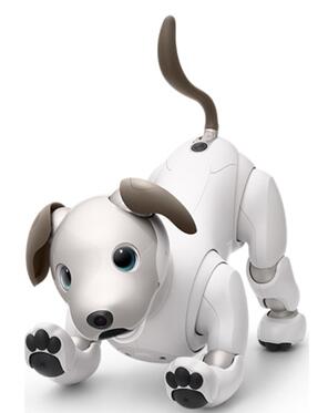 ???????μ??????????Aibo??????DepthSense????????????????