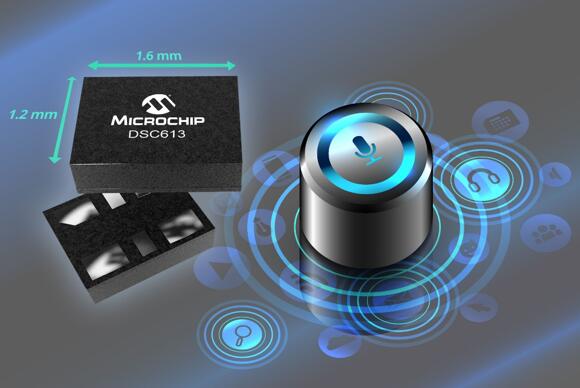 Microchip??????????С??????MEMS??????????????????80??