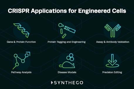 ?????????????????????Synthego???CRISPR????????????
