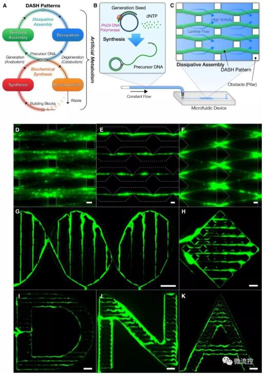 ??????DNA????"???????"??????????????????