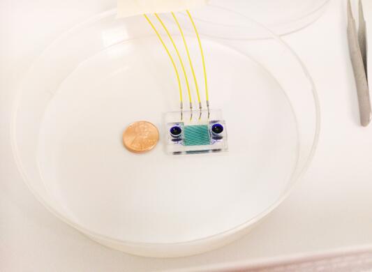 ?????????????????Hydro-Seq???о?????????????????????ж????????????????????