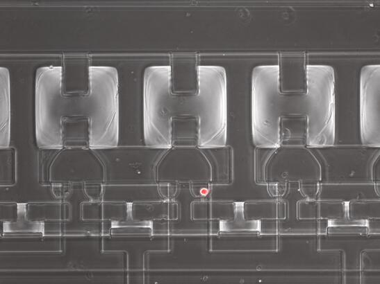 ???Hydro-Seq?????????в?????????????????????????????