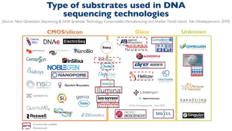 DNA??????????????????