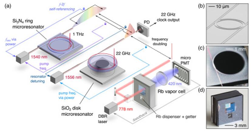 DARPA??????????????????????????????1000??