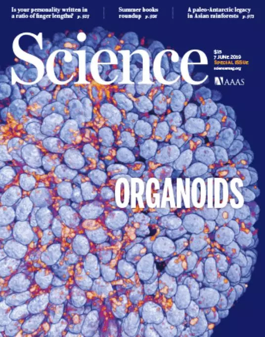 ??Science??????????????????????????????Sunghee EstellePark??Andrei Georgescu??Dongeun Huh????д??????Organoids-on-a-chip??????о???