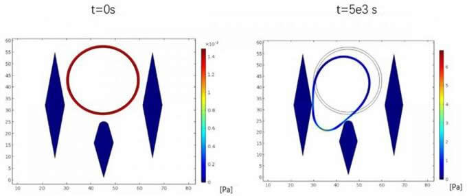  ??Biomicrofluidics?????????????????????????????????1??????????????????????cCPC????????????????????