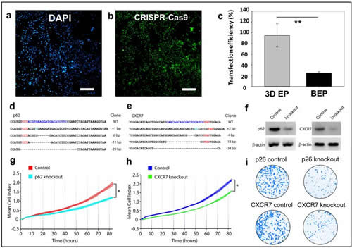 CRISPR-Cas????????????????????
