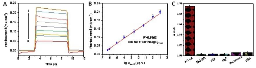 PEC/DNA???崫????????????????????