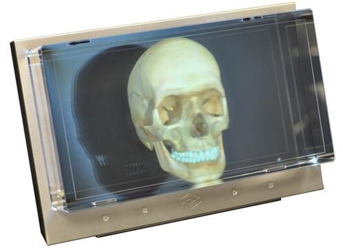 3D????????????????????????