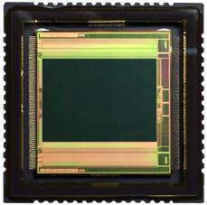 SiOnyx XQE-1310??????