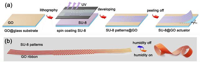 ??a?????????????UV??????????SU-8??GO????????????????????b??????ε?SU-8 / GO??????????????????2???????????Ρ?