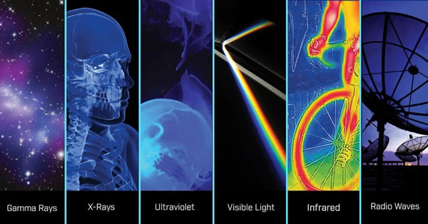 Teledyne??????ú?????????????FLIR