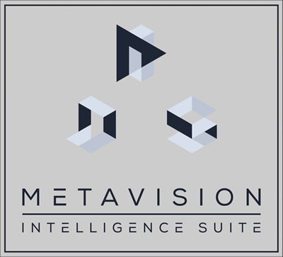 Metavision Intelligence???