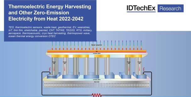 ??????????????????????????????-2022?桷