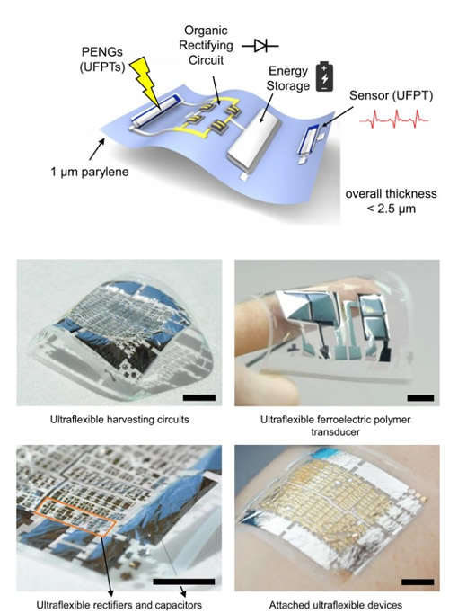 ??????1???parylene??????????????????????????????????????