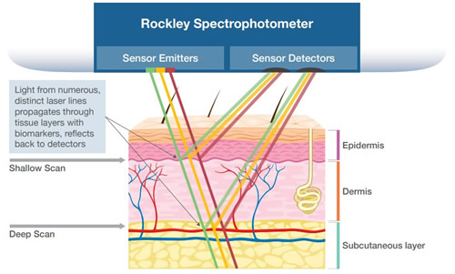 Rockley Photonics??????????????