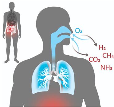 ?????????????????0~50ppm??????????????????????????????????????O₂??CO??CO₂??VOC??????????????????