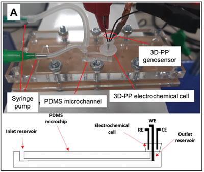 ??PDMS??????3D???????????????????繅??緋????????о????????