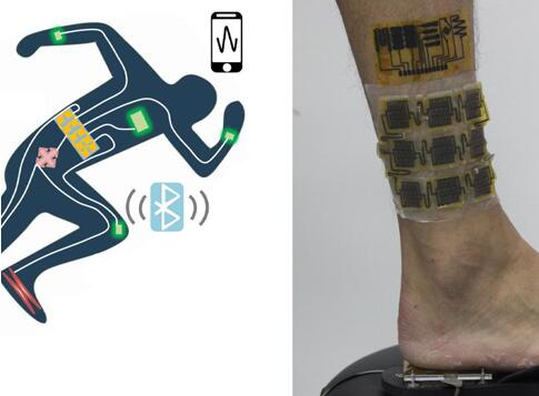 ???????????ī??????????????????????????