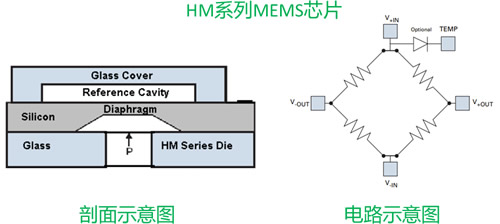 ???????????HM???MEMSо????