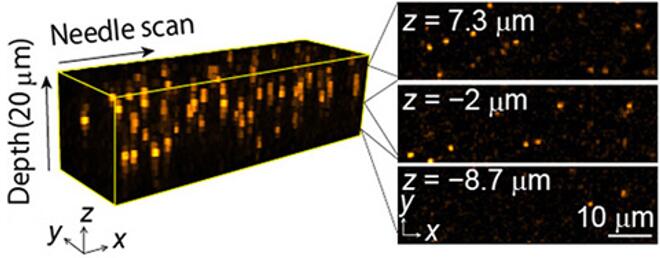 ???1 µm??????????????????