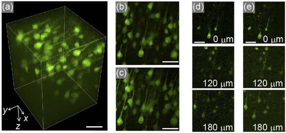 ???????200 µm ?? 200 µm ?? 260 µm????H-lineС?????????????3D???