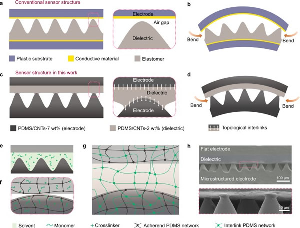 ?????PDMS-CNTs?????????????????????