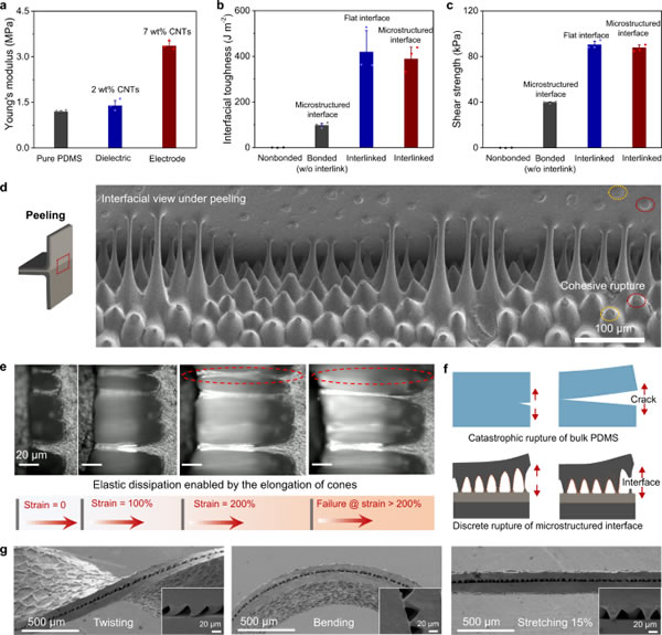 PDMS-CNTs???????????????????????????