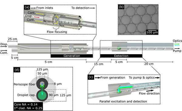 Lab-in-a-Fiber??????????????