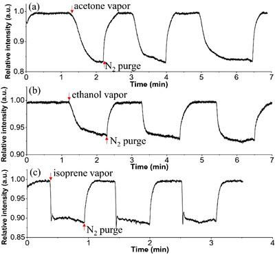 ??????10 µm?????1 µm??SiN??????????VOC?????к?????