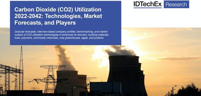 ???????????CO2?????ü??????г?-2022?桷