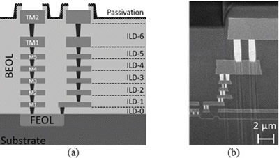 ??a??130 nm BEOL?????????b??FIB-SEM???